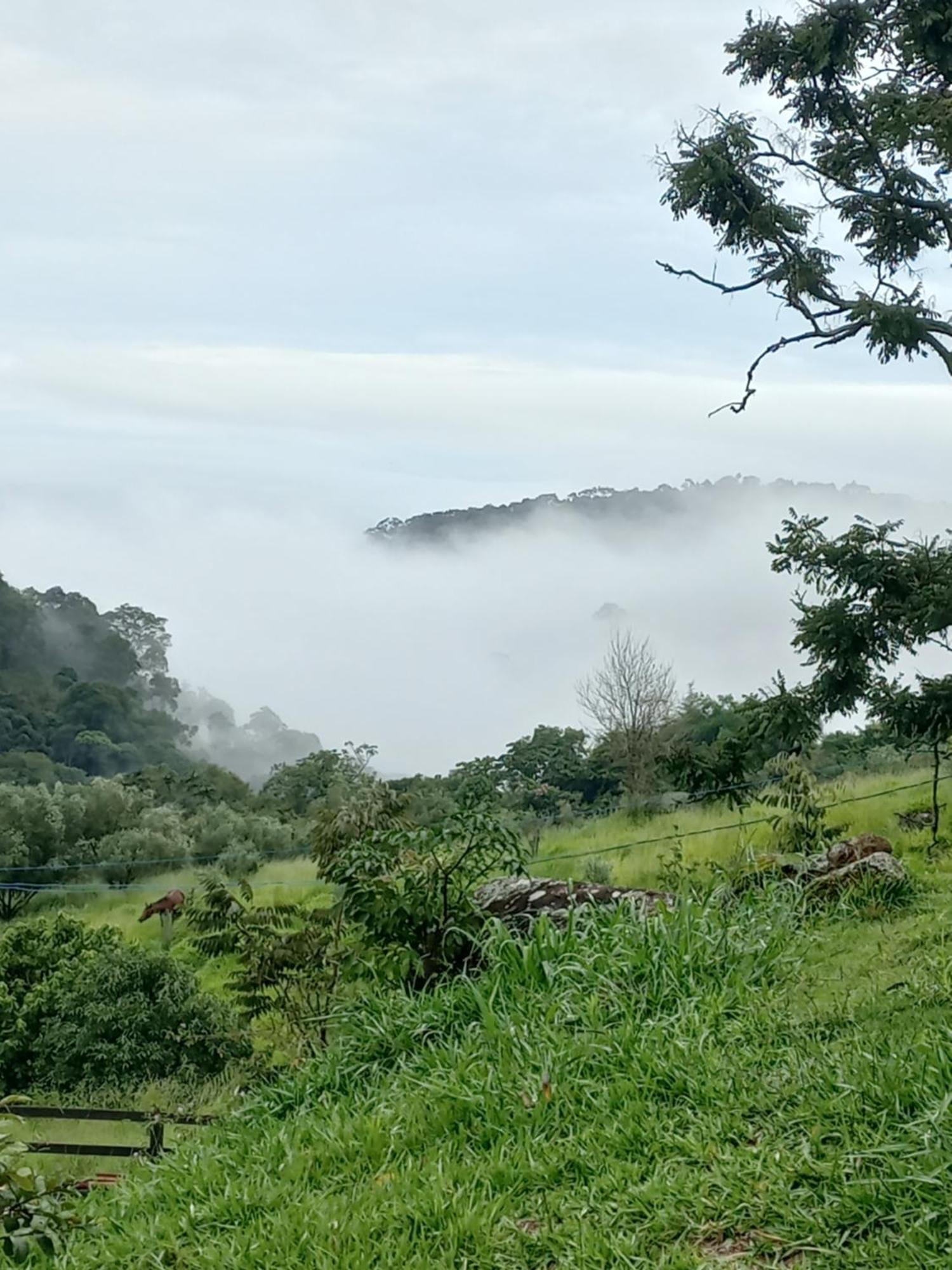 Chale Araucaria- Vale Das Pedras Mg Сапукаи-Мирин Экстерьер фото